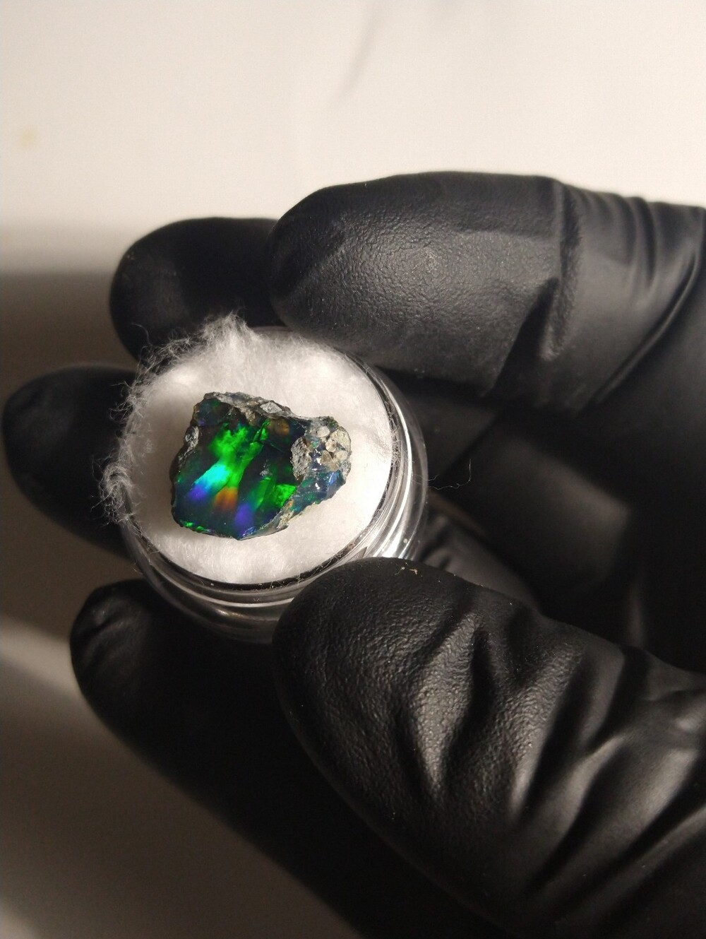 Natural Smoked Black Opal Rough Gemstone in Display